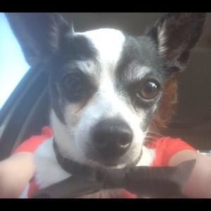 Meet your Posher, Rita